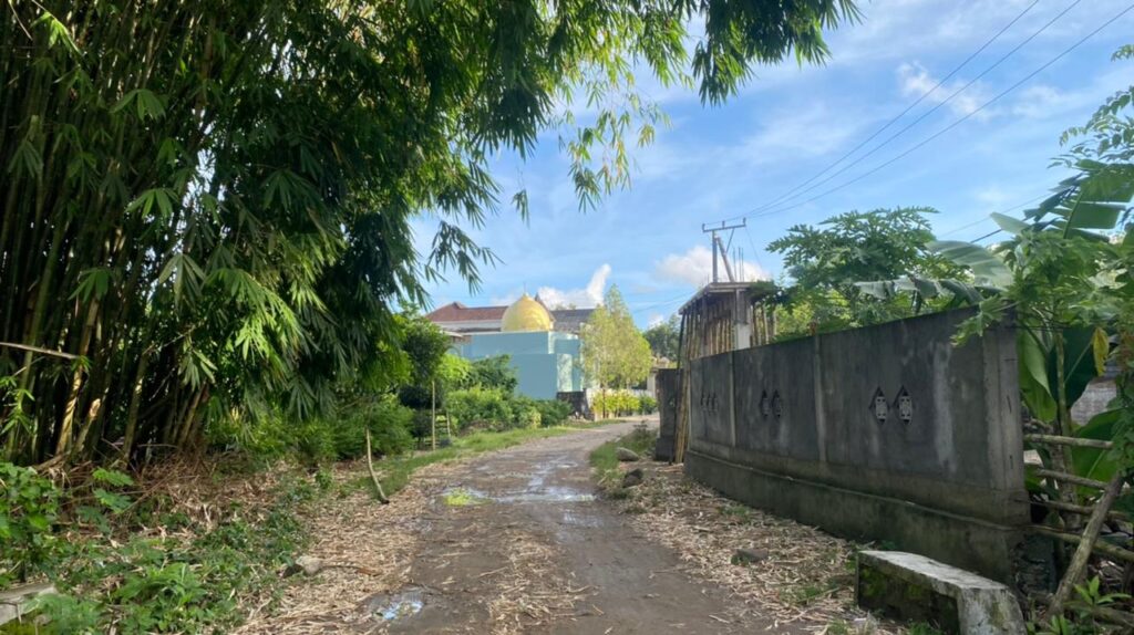 WhatsApp Image 2026-02-03 at 11.00.43 AM