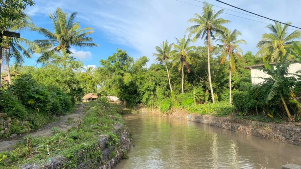 WhatsApp Image 2026-02-03 at 11.00.44 AM (1)