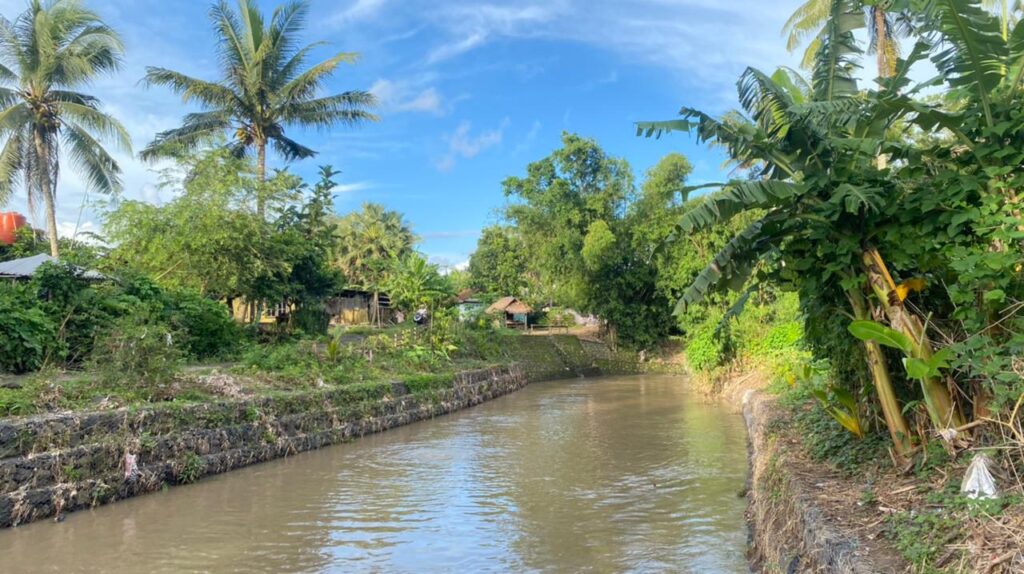 WhatsApp Image 2026-02-03 at 11.00.44 AM