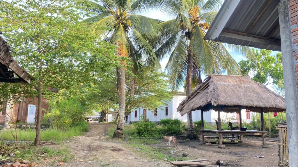 WhatsApp Image 2026-02-03 at 11.02.41 AM