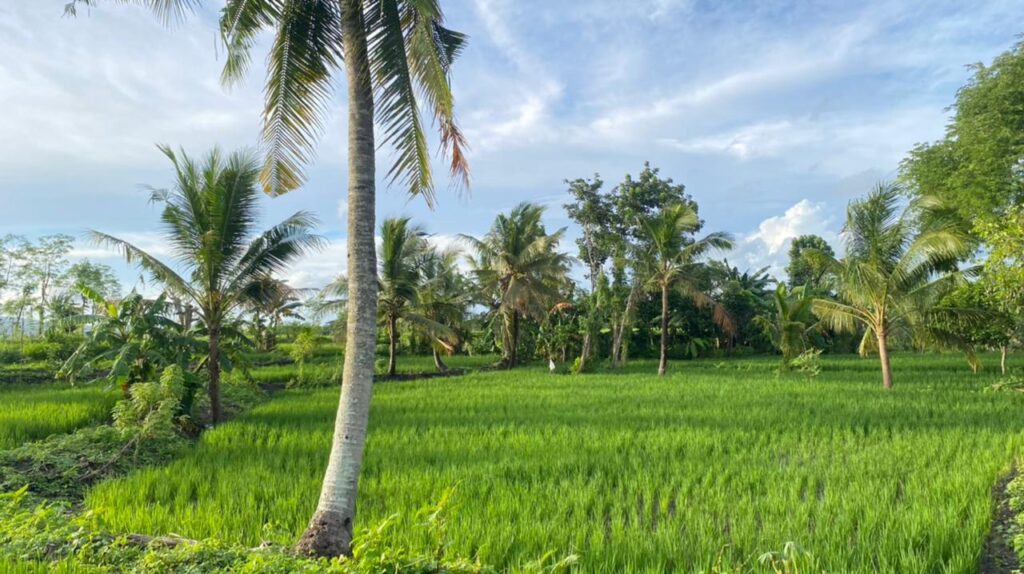 WhatsApp Image 2026-02-03 at 11.02.42 AM