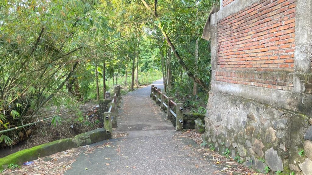 WhatsApp Image 2026-02-03 at 11.02.43 AM