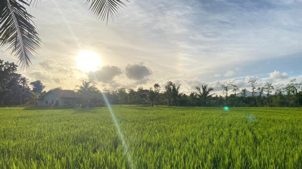 WhatsApp Image 2026-02-03 at 11.03.19 AM