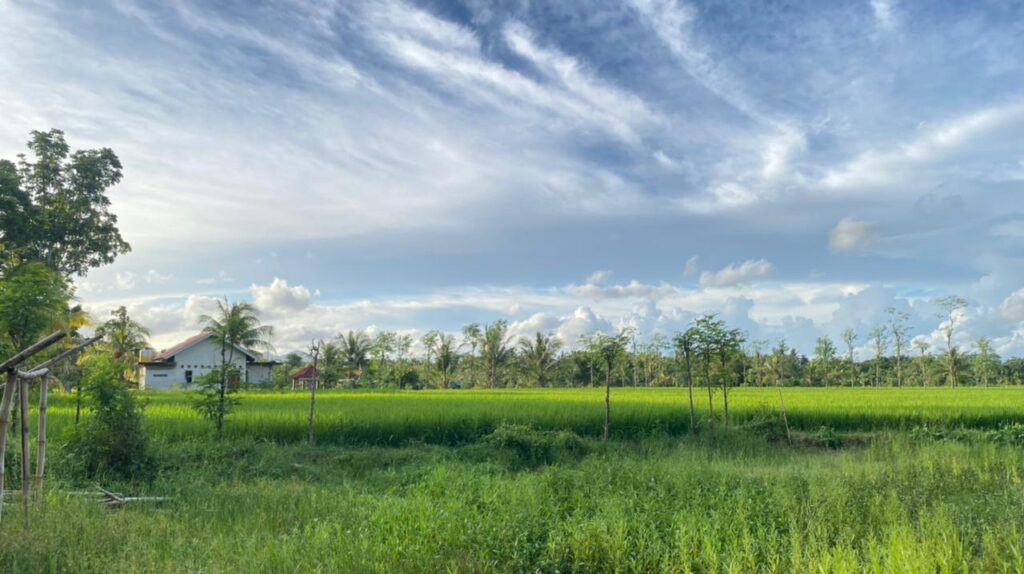 WhatsApp Image 2026-02-03 at 11.03.20 AM