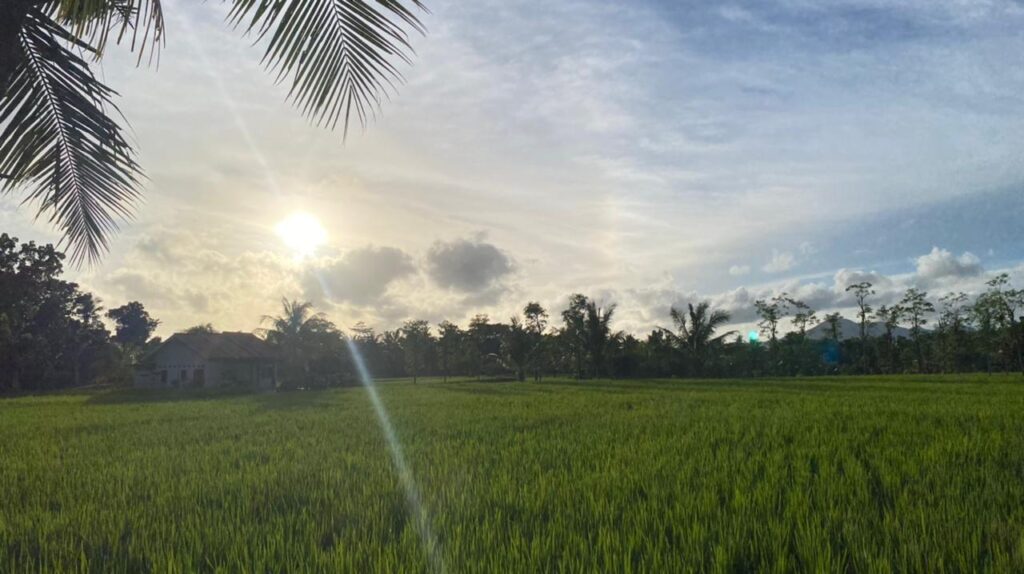 WhatsApp Image 2026-02-03 at 11.03.21 AM