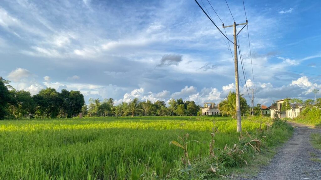 WhatsApp Image 2026-02-03 at 11.04.23 AM (1)