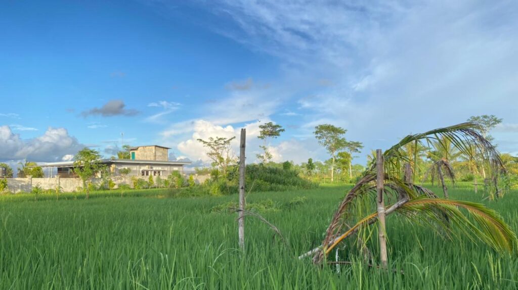 WhatsApp Image 2026-02-03 at 11.04.23 AM