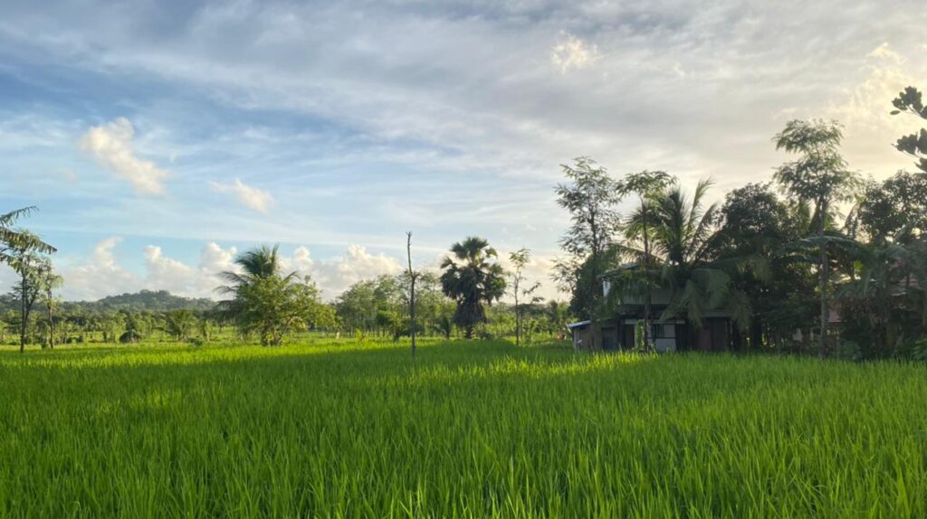 WhatsApp Image 2026-02-03 at 11.04.23 AM (2)