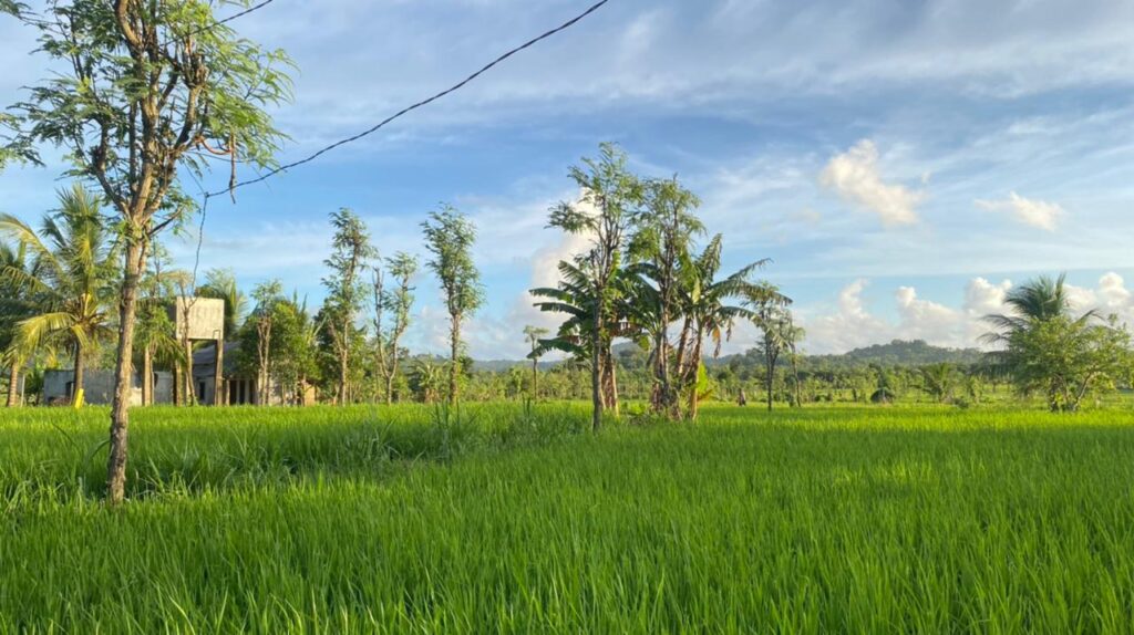 WhatsApp Image 2026-02-03 at 11.04.24 AM