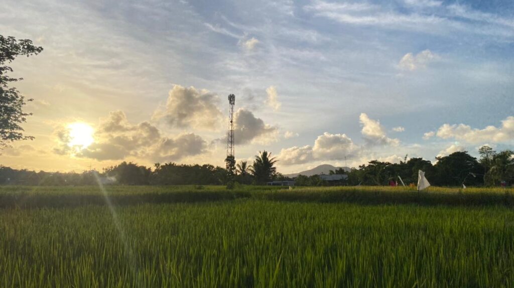 WhatsApp Image 2026-02-03 at 11.05.03 AM