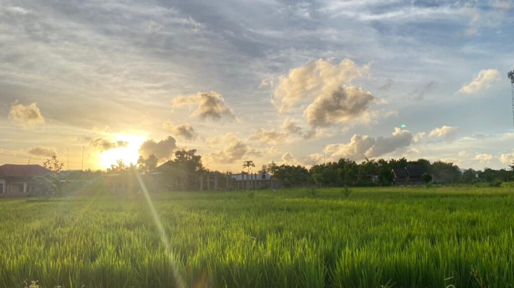 WhatsApp Image 2026-02-03 at 11.05.05 AM