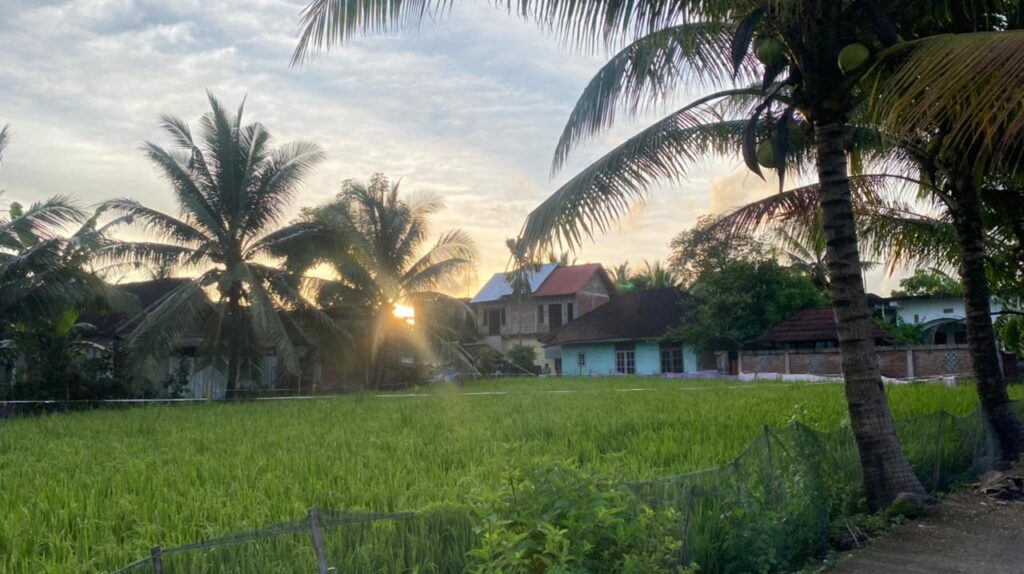 WhatsApp Image 2026-02-03 at 11.05.27 AM