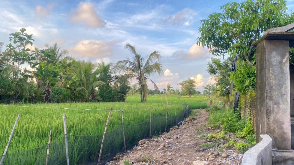 WhatsApp Image 2026-02-03 at 11.05.28 AM