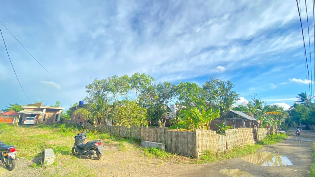 WhatsApp Image 2026-02-03 at 11.14.20 AM (10)