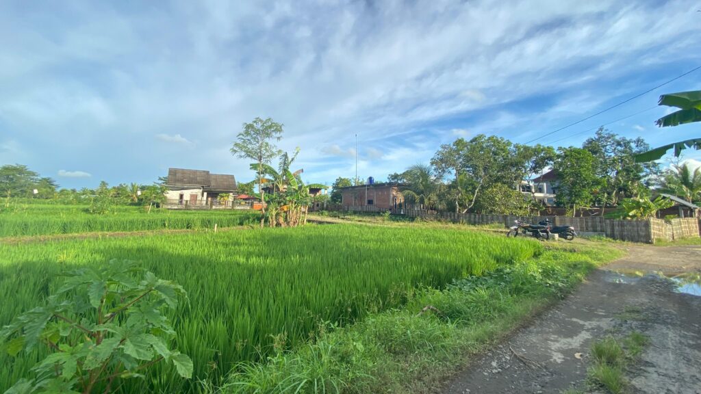 WhatsApp Image 2026-02-03 at 11.14.20 AM (15)