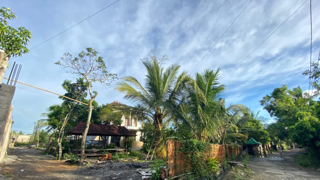 WhatsApp Image 2026-02-03 at 11.14.20 AM (16)