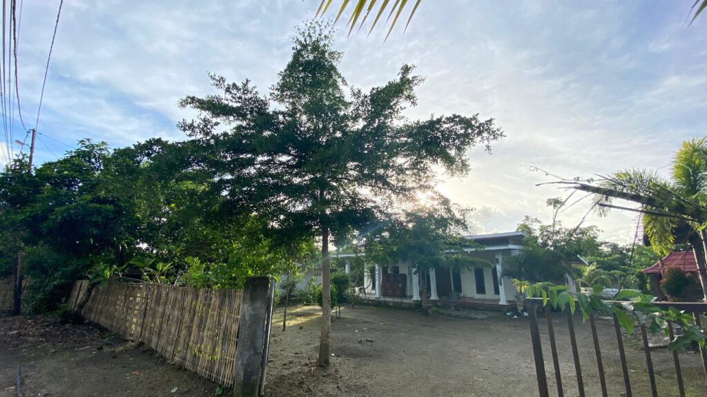 WhatsApp Image 2026-02-03 at 11.16.06 AM (10)