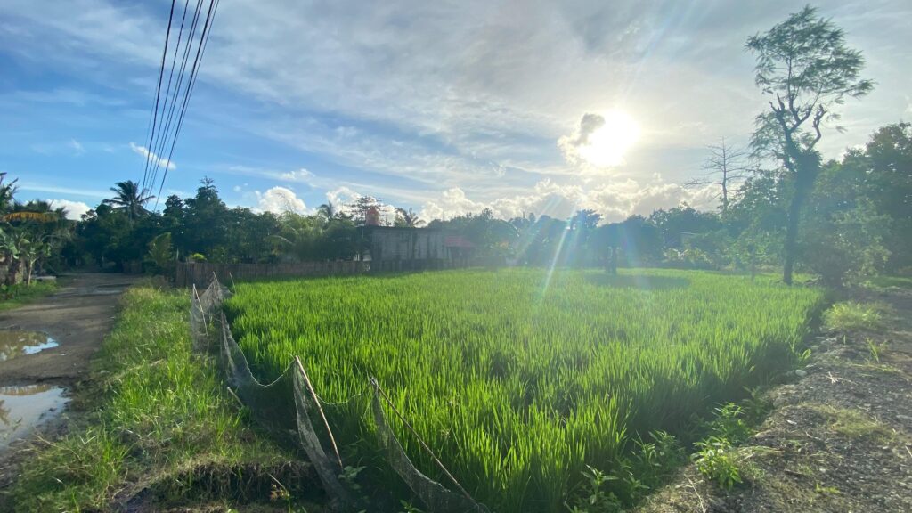 WhatsApp Image 2026-02-03 at 11.16.06 AM (5)