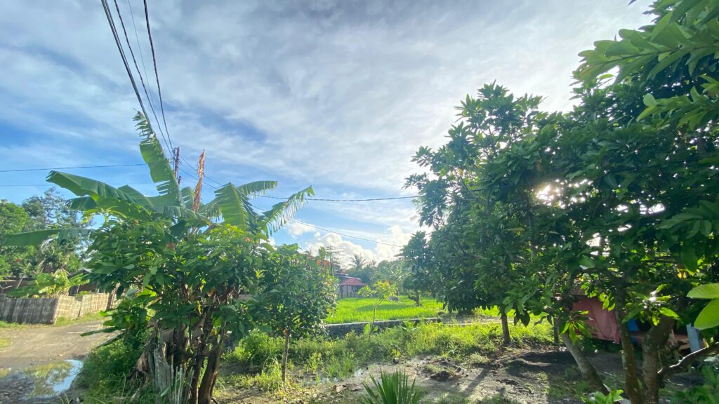 WhatsApp Image 2026-02-03 at 11.16.06 AM (8)