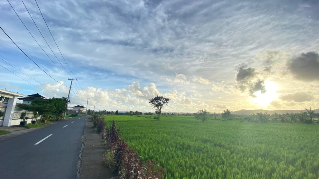 WhatsApp Image 2026-02-03 at 11.17.05 AM (10)