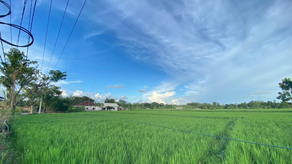 WhatsApp Image 2026-02-03 at 11.17.05 AM (4)