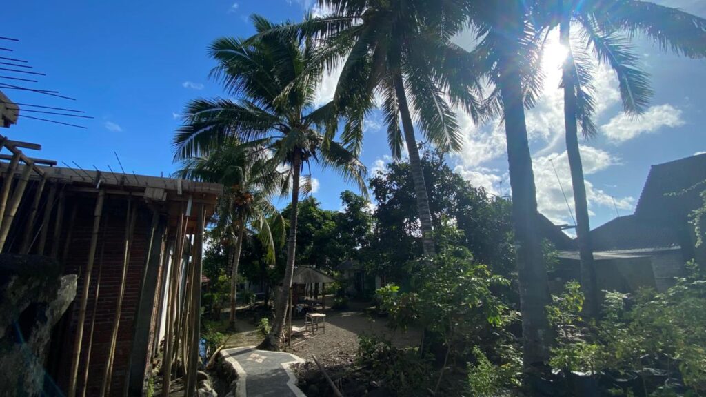 WhatsApp Image 2026-02-03 at 4.23.56 PM